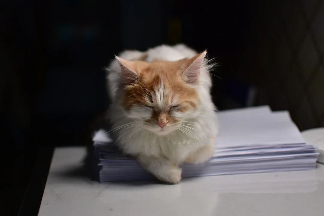 accountant working late