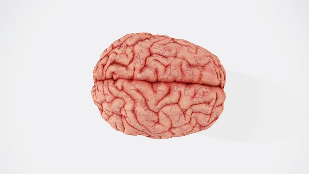 brain mind cleaning