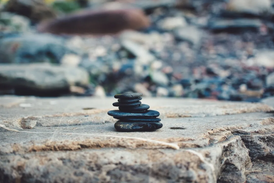 mindfulness meditation