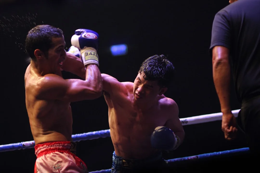 boxing stance demonstration