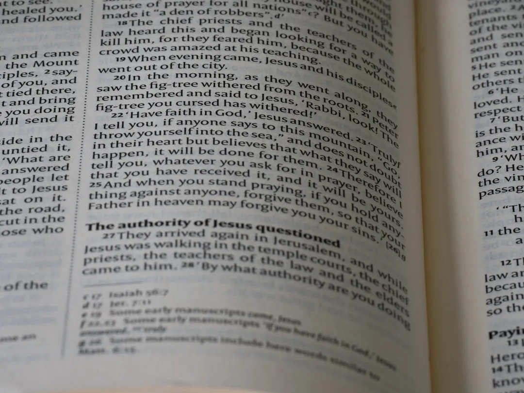 medical terminology textbook