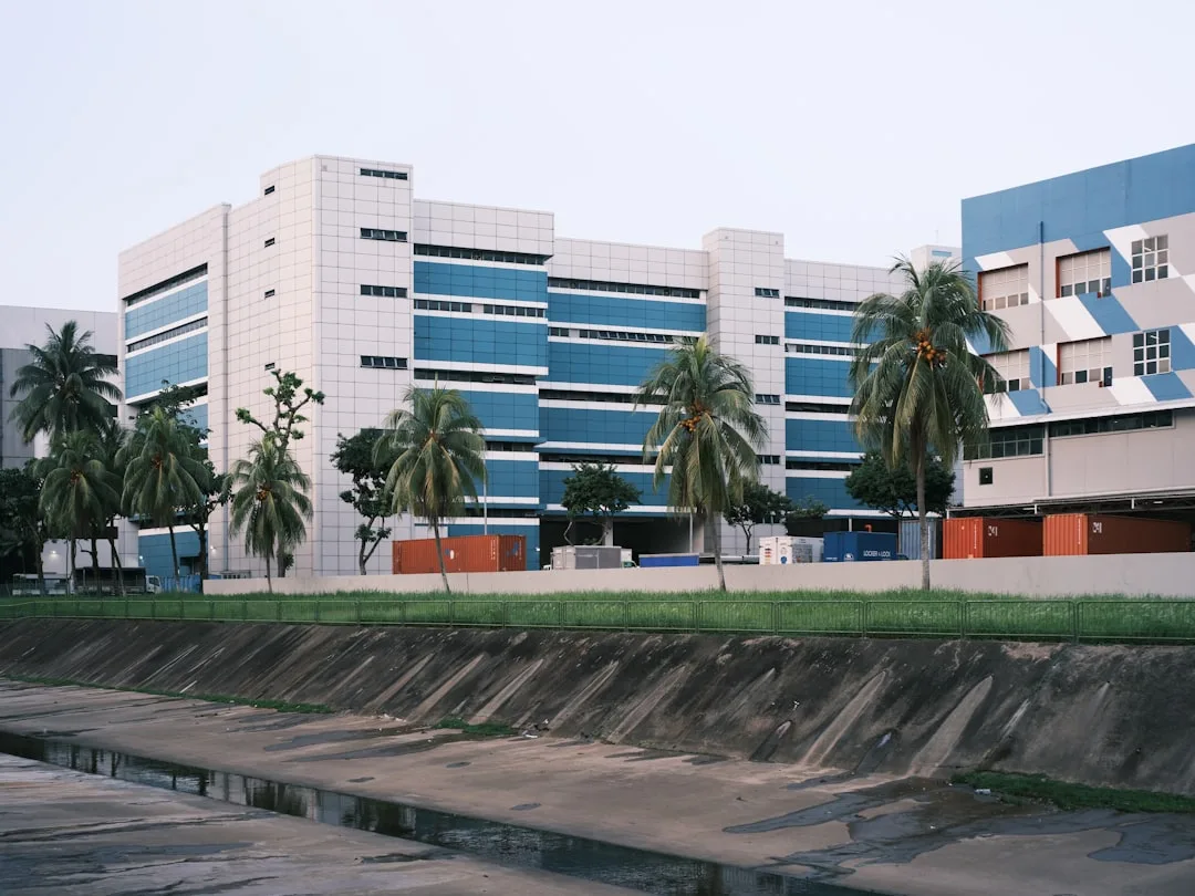 medical records organization