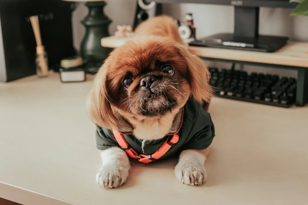 stressed office worker