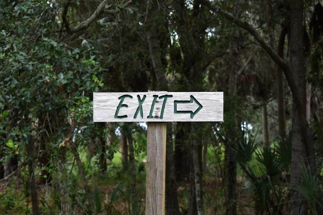 ethical decision making process
