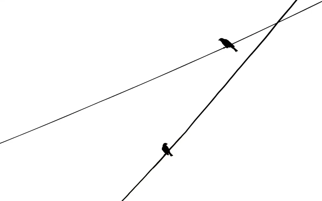 self-awareness concept diagram