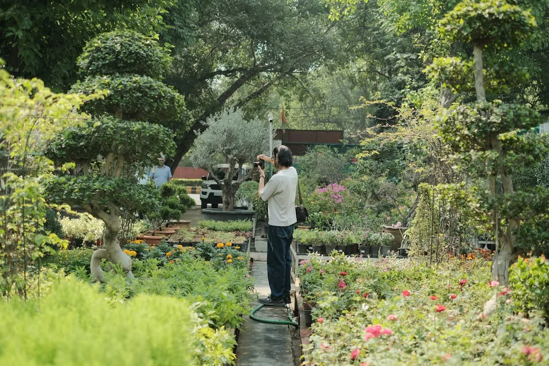 person watering plants in garden